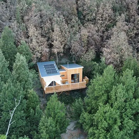 Les De Lutina *