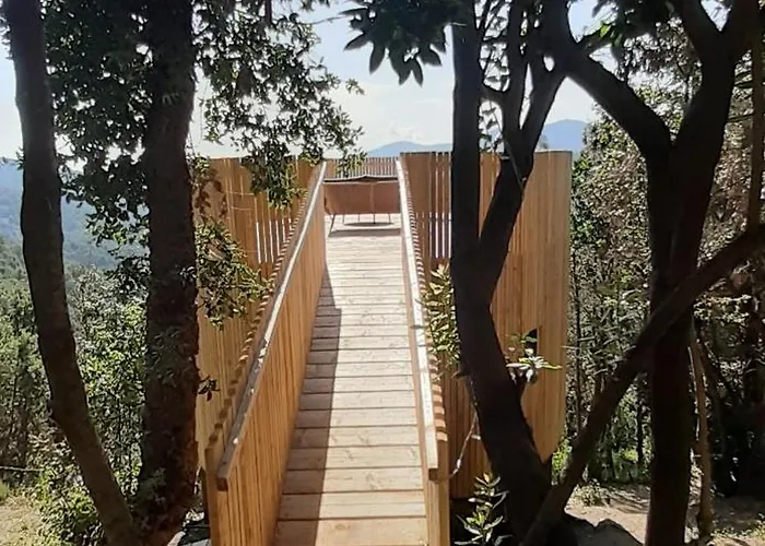 Les De Lutina Poggio-Marinaccio