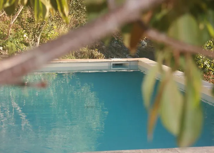 Les De Lutina * Poggio-Marinaccio