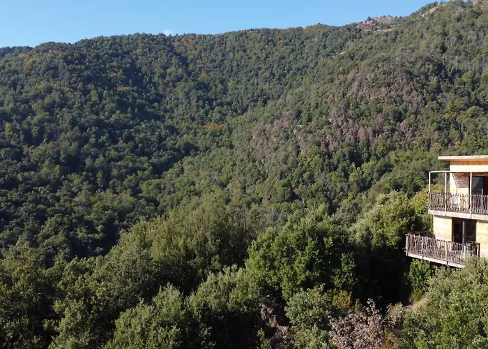 Les De Lutina * Poggio-Marinaccio