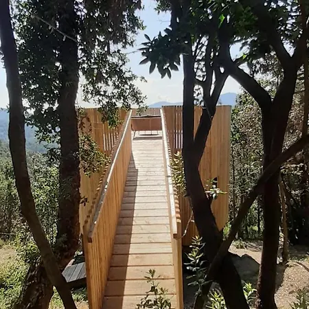 Les De Lutina Poggio-Marinaccio