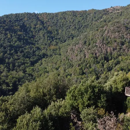 Les De Lutina * Poggio-Marinaccio